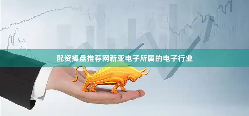 配资操盘推荐网新亚电子所属的电子行业