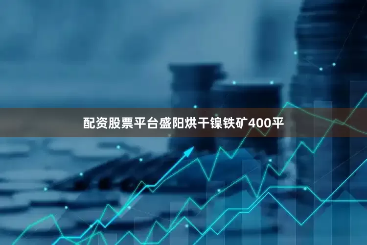 配资股票平台盛阳烘干镍铁矿400平