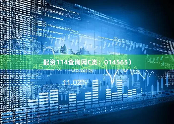 配资114查询网C类：014565）